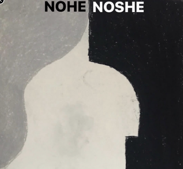 NOHE NOSHE logo